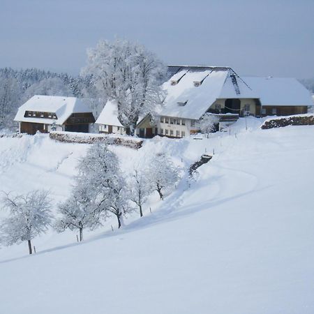 Brosihof Apartment Erlenbach  Екстериор снимка