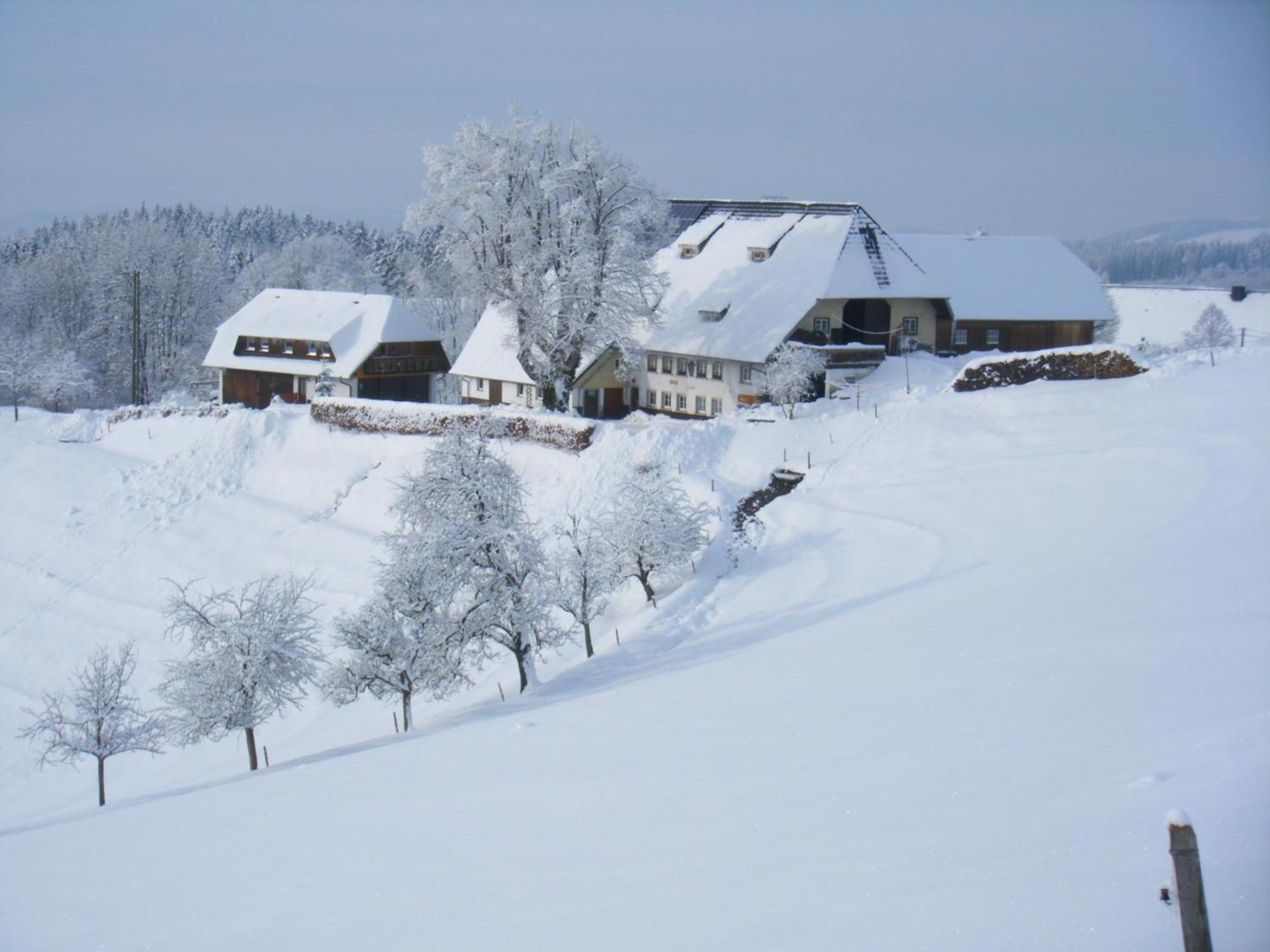 Brosihof Apartment Erlenbach  Екстериор снимка