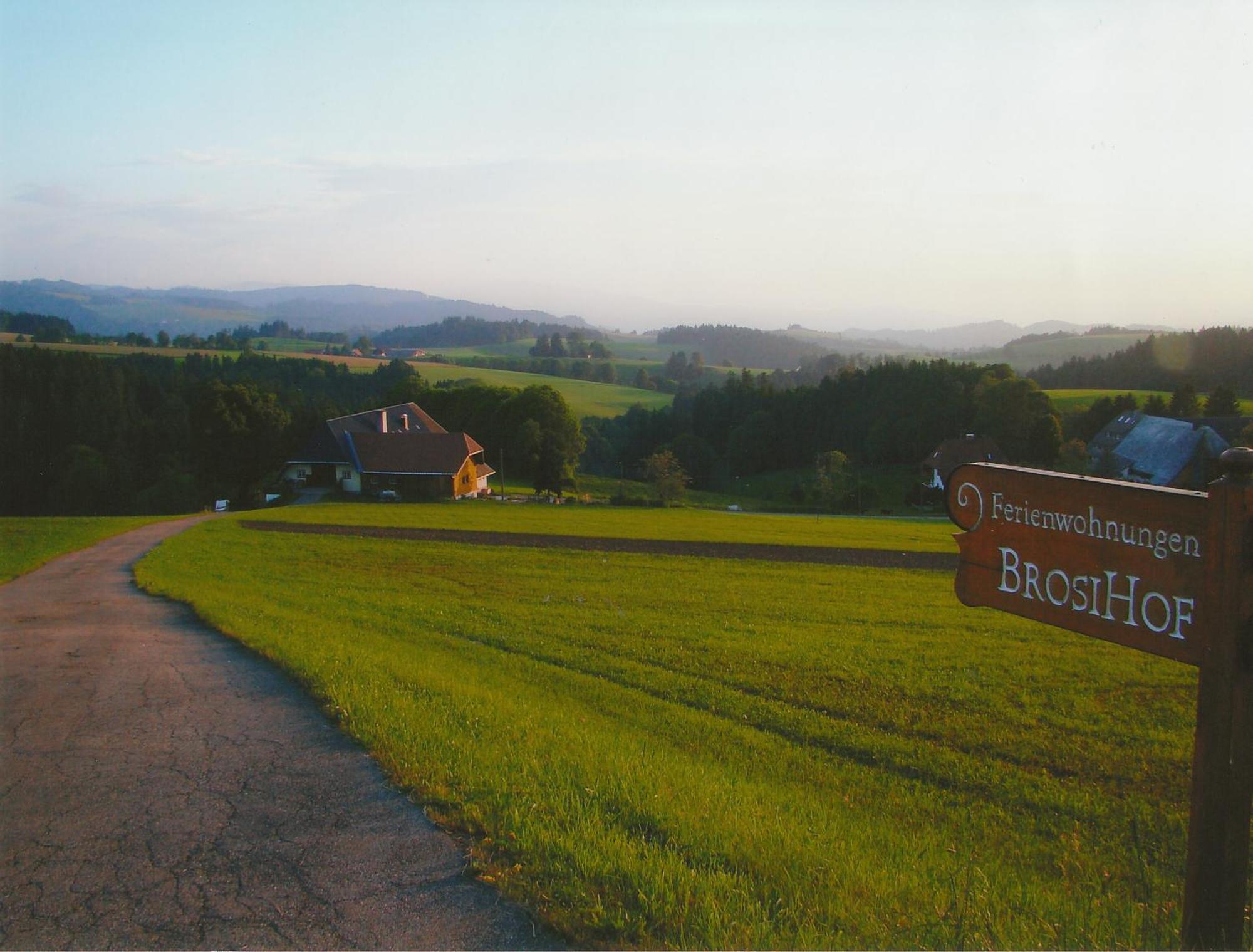 Brosihof Apartment Erlenbach  Екстериор снимка