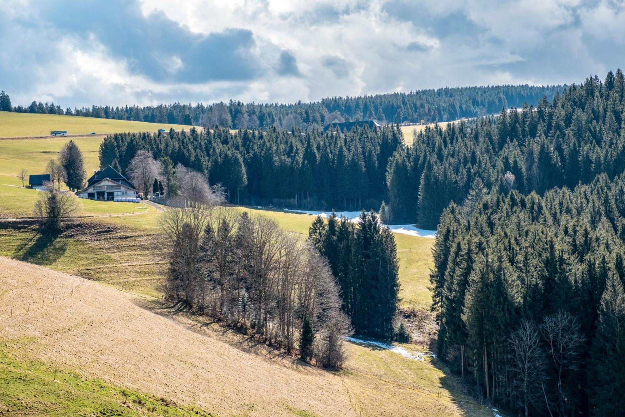 Brosihof Apartment Erlenbach  Екстериор снимка