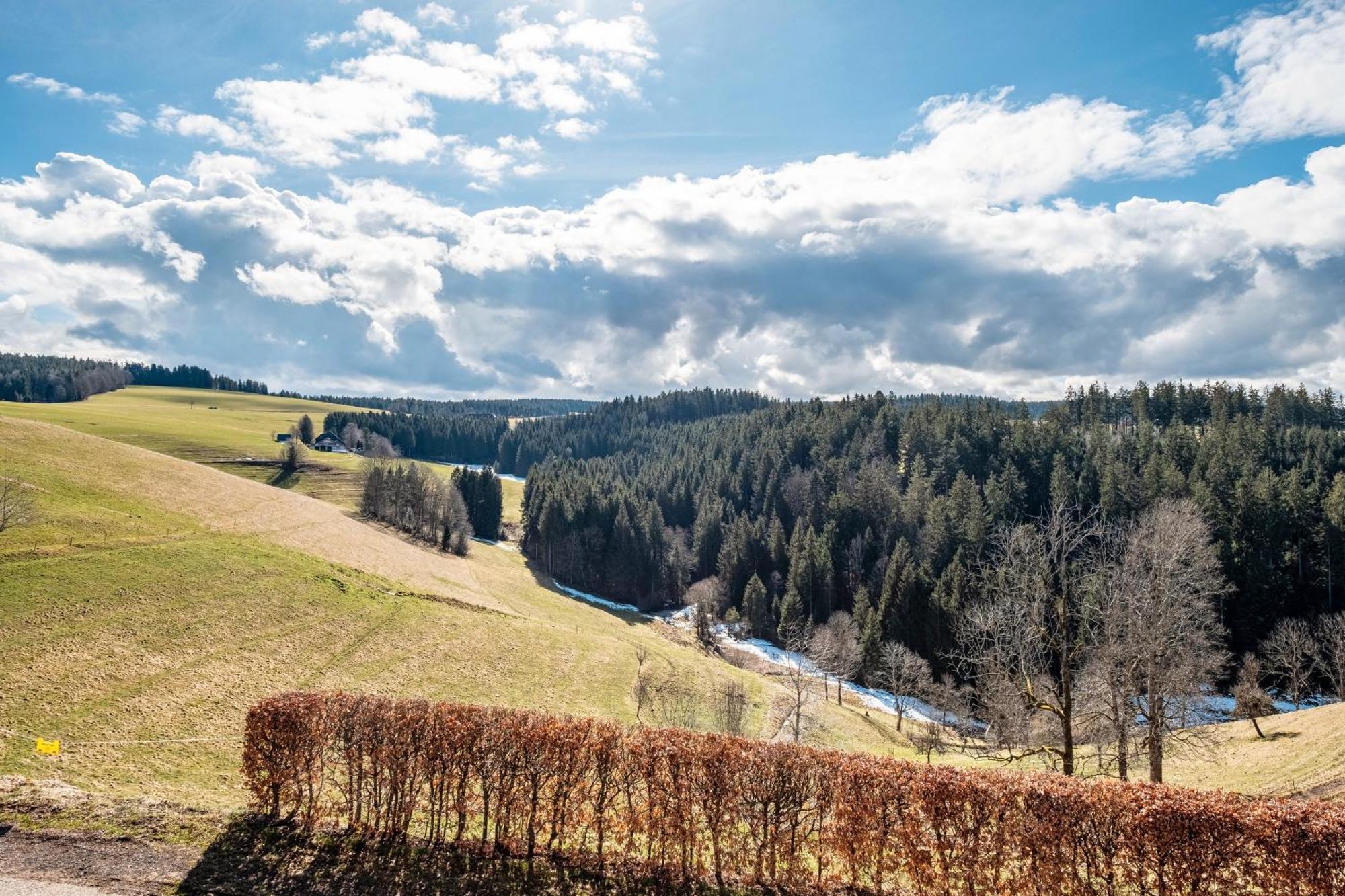 Brosihof Apartment Erlenbach  Екстериор снимка
